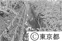 野火止用水