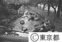神田川（井の頭公園付近）