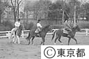 ポニー牧場