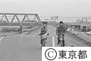 江戸川沿いのサイクリング道路