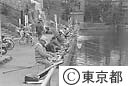 水元公園 釣仙郷