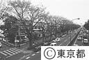 同潤会（青山アパート）