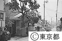 雪景色