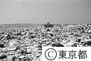 中央防波堤外側埋立地