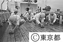 大島南高校海洋科（甲板をヤシの実でみがく）
