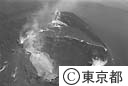 （空撮）大島三原山噴火口
