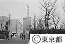 都庁西門より第三本庁舎東方向を見る。