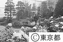 国際花と緑の博覧会（東京館）