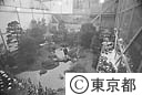 国際花と緑の博覧会（東京館）