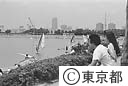 お台場海浜公園で若い男女とウインドサーフィン、その後ろに東京の町