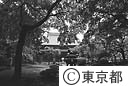 豪徳寺境内