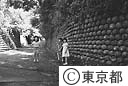 玉石垣（樫立）
