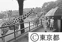 都庁事務職員の一日体験飼育係