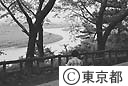 多摩川台公園