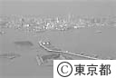 お台場公園と工事中の東京港連絡橋（空撮）