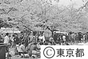 上野公園で花見をする人々
