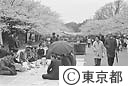 上野公園で雨もようの中、花見をする人
