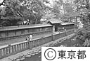 つつじで有名な根津神社境内