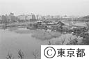 上野不忍池、春景色