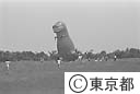 水元公園