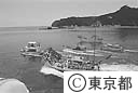 出航する小笠原丸を見送る父島の船