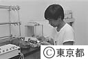 亜熱帯農業センター(アフリカマイマイの研究)