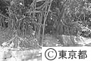 学校の跡