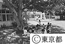 父島保育園