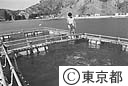 水産センター（シマアジの養殖研究）