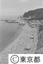 前浜海岸の海水浴客