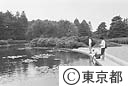 神代植物公園の池