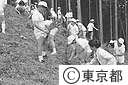 山の植樹祭