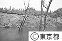 渇水の矢木沢ダム