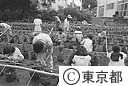 都立園芸高校（菊づくり）