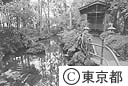 真姿の池