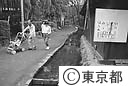 真姿の池付近のせせらぎ