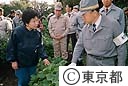 噴火により被害を受けた菊畑を視察する鈴木知事