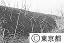 三原山噴火による被害