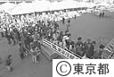 全員帰島のため乗船する島民