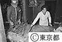 噴火後の初めてのストレチアの出荷