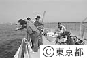 東京湾の水質調査
