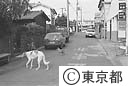 大島三原山大噴火のため無人の町