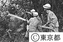 大島三原山大噴火の溶岩を冷やす消防庁隊員たち