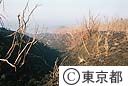 伊豆大島三原山噴火による溶岩