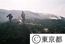 伊豆大島三原山噴火による溶岩