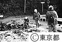 大島三原山大噴火のため道路の地割れ