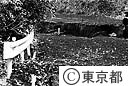 大島三原山大噴火のため道路の地割れ
