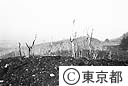 伊豆大島三原山噴火による溶岩