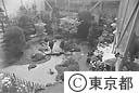 花博「花の江戸東京館」