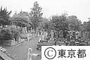 雑司ヶ谷墓地